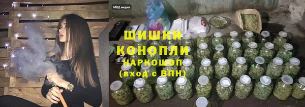 ешки Медногорск