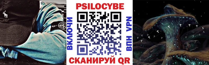 Псилоцибиновые грибы ЛСД  OMG как войти  Ростов  наркота 